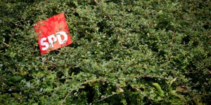 SPD-Bundestagswahlkampf